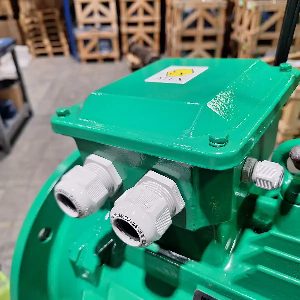 three-phase-atex-motors-medium-voltage