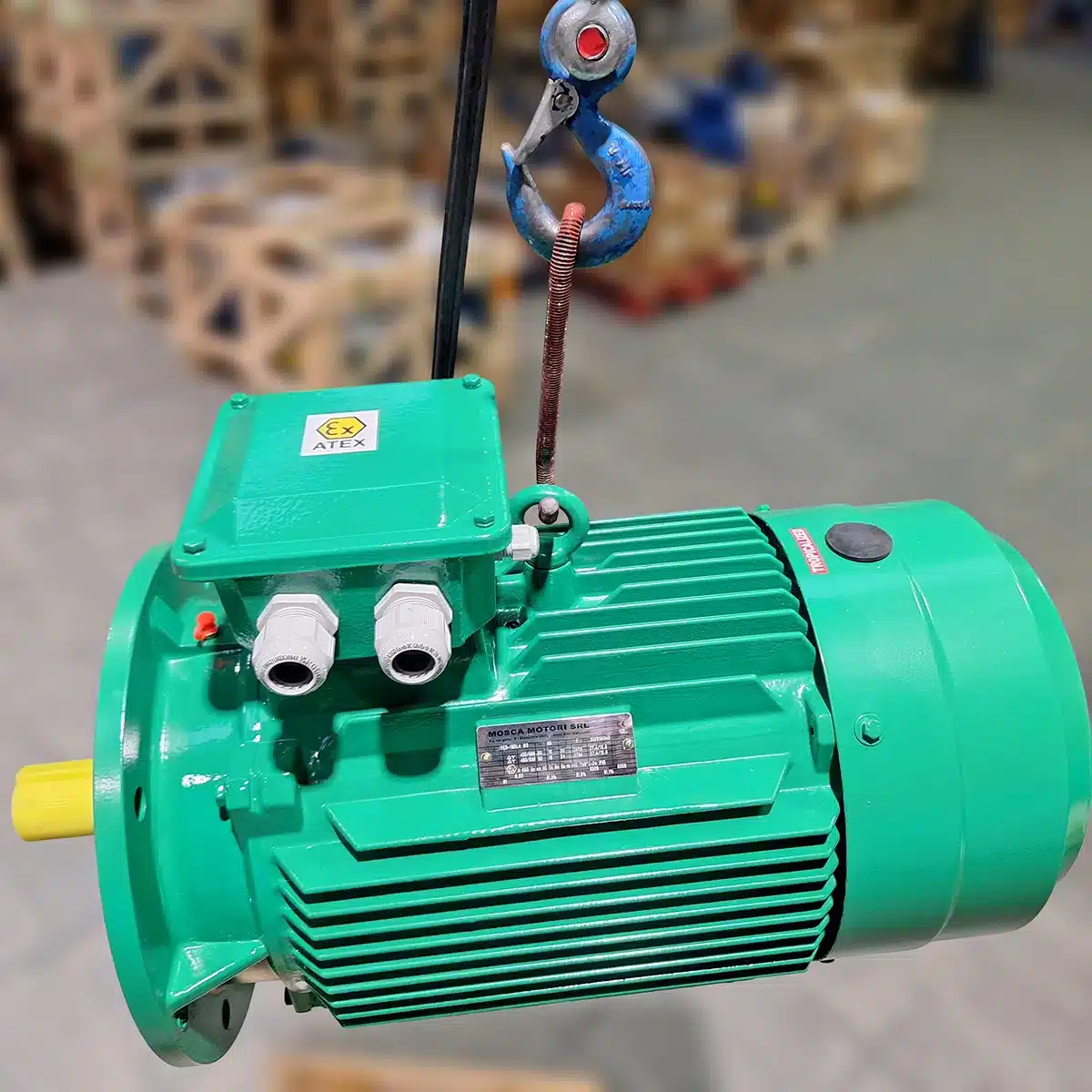 atex-einphasenmotoren-mittelspannung