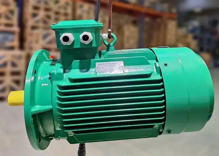 atex-explosionsgeschützte-motoren-mittelspannung